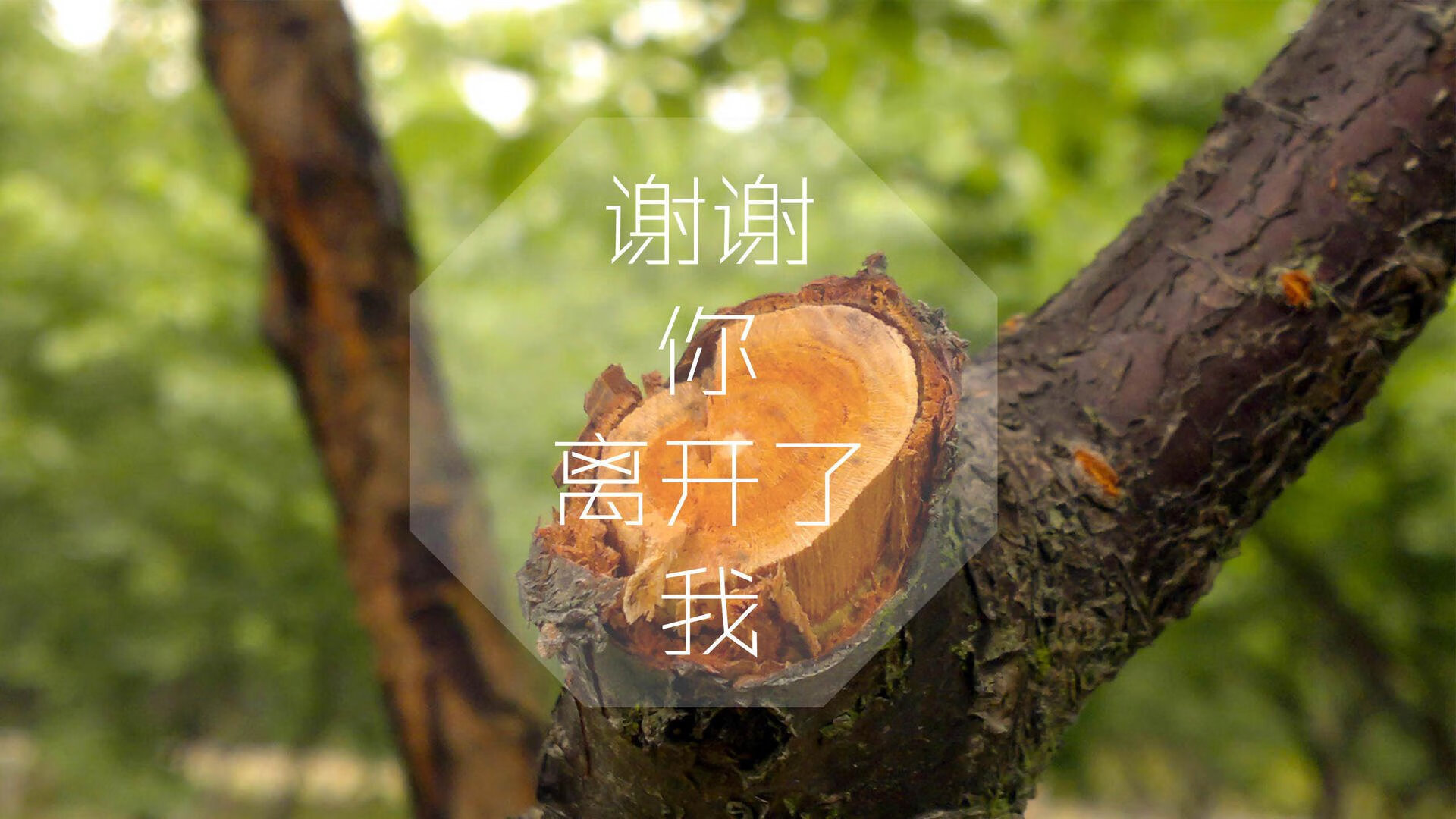挖掘机施工协议书范本（挖掘机工程合同书怎么写）